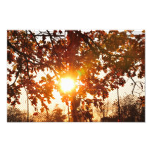 The sun is shining photo print