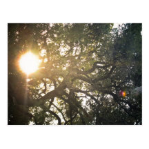 The sun is shining postcard