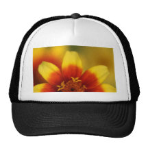 The sun's still shining hats