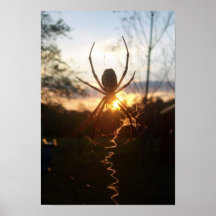 The Sunset Poster