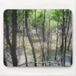 The Swamp Mousepad