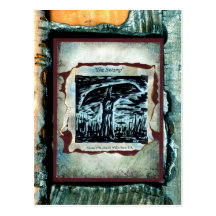 The Swamp Postcard
