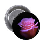 The Sweetest Flower that Blows... Pin