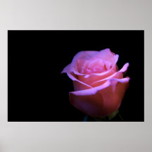 The Sweetest Flower that Blows... Poster