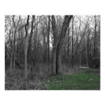 The Swing Photo Art