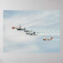 The T-28 Warbird Aerobatic Demonstration Team. Posters