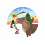 The Take Of f -Shetland Pony Post Card