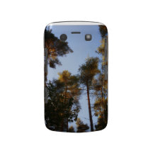 The Tallest Trees Blackbery Bold case Blackberry Bold Cases