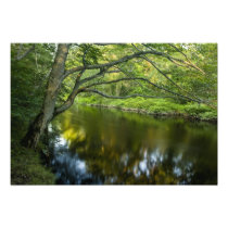 The Taunton River in Bridgewater,
