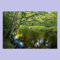 The Taunton River in Bridgewater, photography