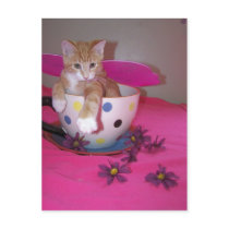 The tea cup fairy