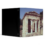 The Temple of the Treasures of the Athenians Vinyl Binders