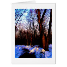 The Thaw Card