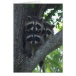 The Three Amigos Card