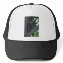 The Three Amigos Hat