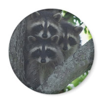 The Three Amigos Refrigerator Magnets
