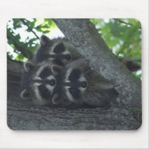 The Three Amigos Mousepads