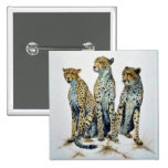 The three graces, Cheetahs Pinback Button