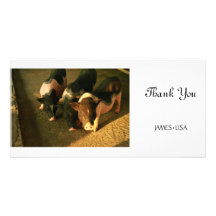 The Three Little Pigs Photo Card Template