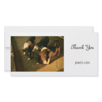The Three Little Pigs Photo Card Template