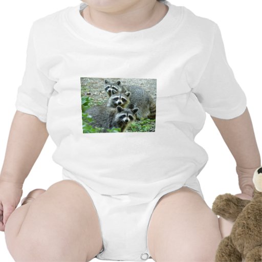 The Three Raccoons Tee Shirt