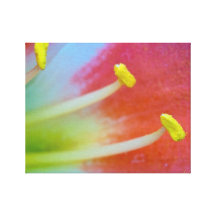 The Three Stamens Wrapped Canvas Gallery Wrapped Canvas