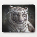 The Tiger's  Watchful Eye Mouse Pads
