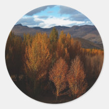 The tree growth in the Tibet Plateau Sticker