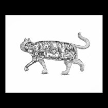 The Trojan Cat posters