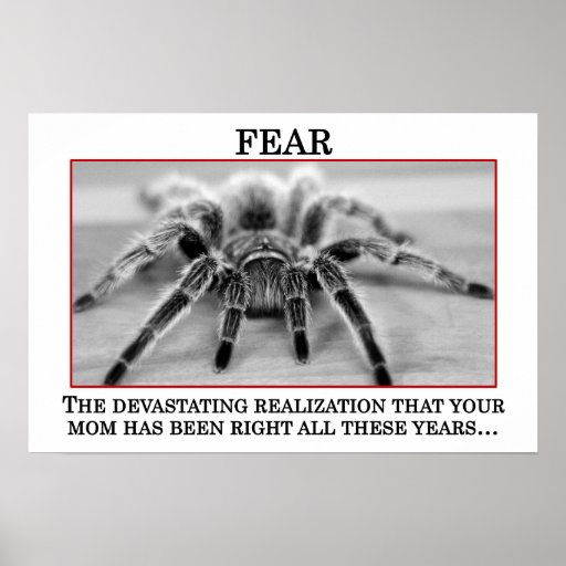 The True Meaning of Fear (S) Posters