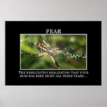The True Meaning of Fear [XL] Poster