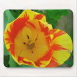 The Tulip Mouse Pads