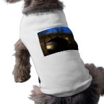 The Tunnel I - Magical World Beyond the Tunnel pet clothing