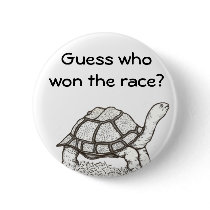 The Turtle Won Badge Pins
