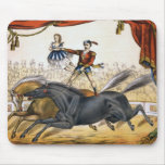 The two-horse act mouse pad