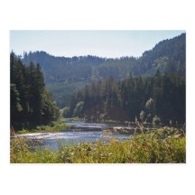 THE Umpqua River, Oregon Post Card