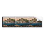 The Venice Gate, Spezia, Italy classic Photochrom bumper stickers