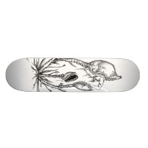The Venus Skate Decks