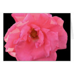 "The Very Pink Of Perfection" Card
