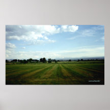 The View Poster