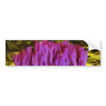 The Violet Coral Fungus Clavaria Zollingeri Bumper Sticker