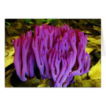 The Violet Coral Fungus Clavaria Zollingeri Greeting Card