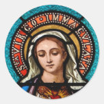 The Virgin Mary Stickers