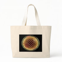 THE VIRUS 2009 CANVAS BAG