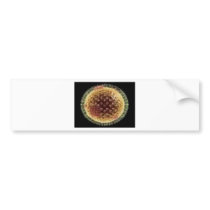 THE VIRUS 2009 BUMPER STICKER