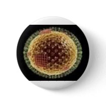 THE VIRUS 2009 BUTTONS