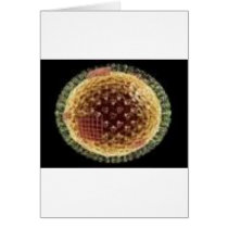 THE VIRUS 2009 GREETING CARD