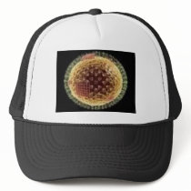 THE VIRUS 2009 HAT