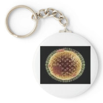 THE VIRUS 2009 KEY CHAINS