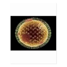 THE VIRUS 2009 POSTCARD